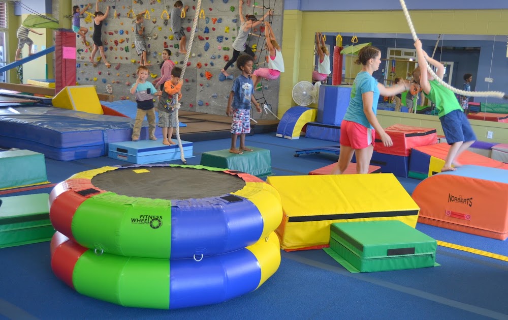 The Jungle Gym venue photo 2