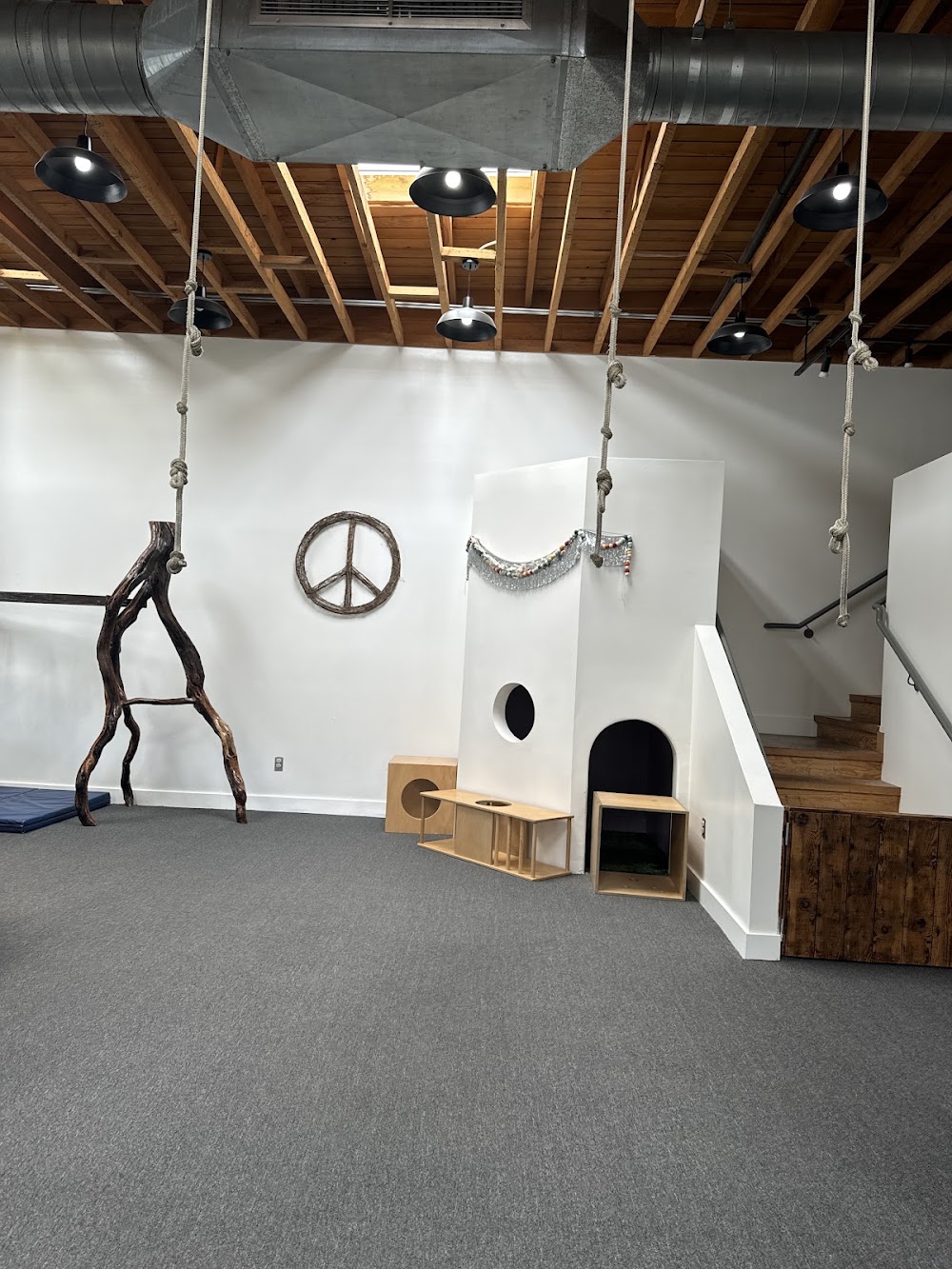 Wild Child Gym venue