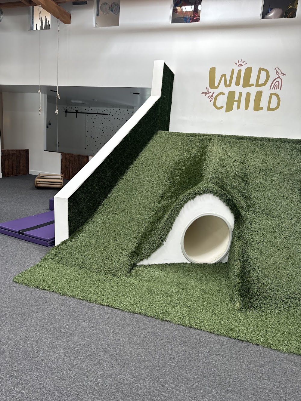 Wild Child Gym venue photo 1