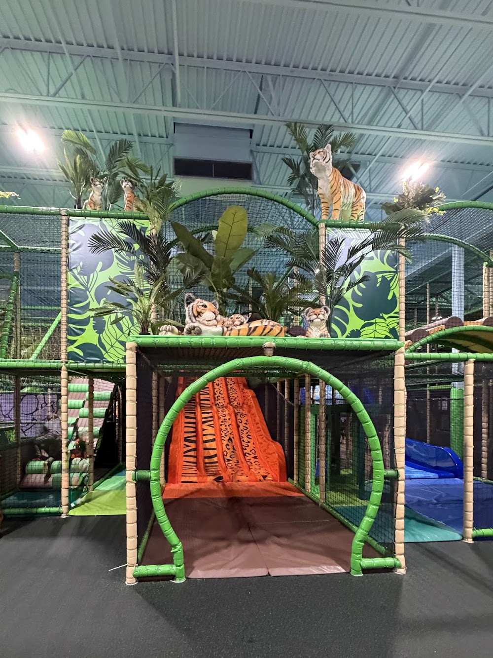 Lava Island venue photo 1