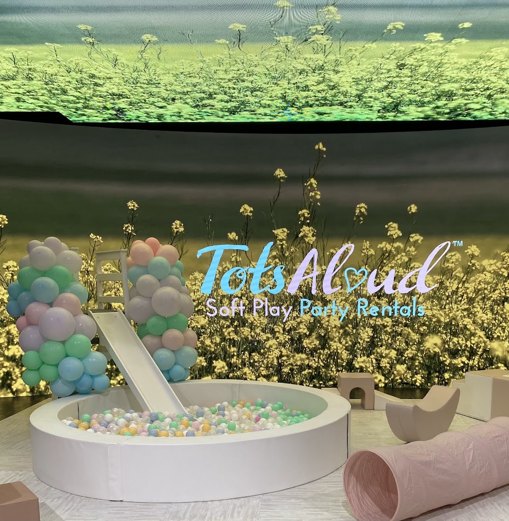 Tots Aloud Soft Play Party Rentals & Event Space (Nashville) venue photo 1