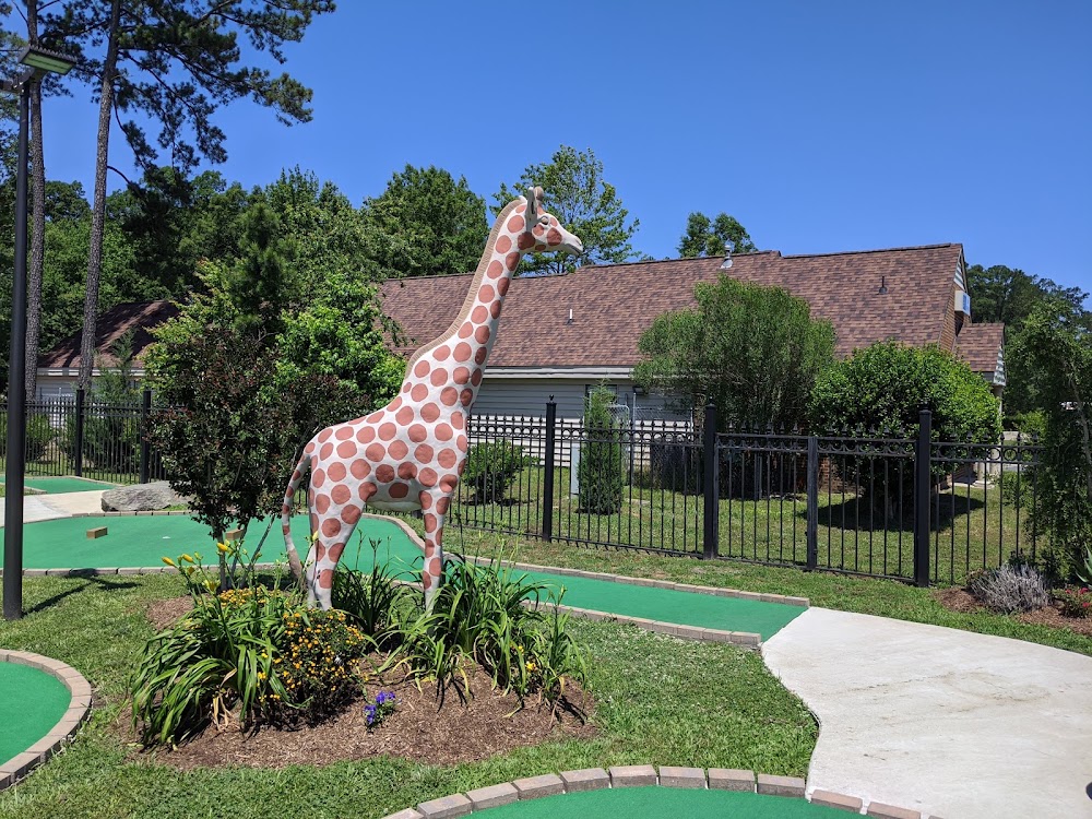 Play A Round Family Fun Center venue photo 1