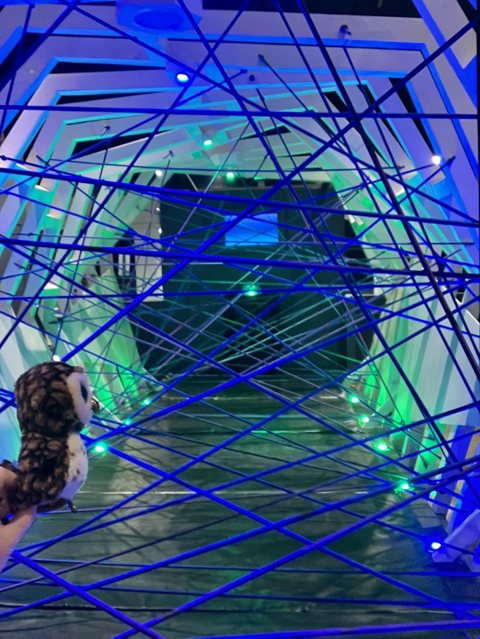 AMUSE - The Adventure Museum