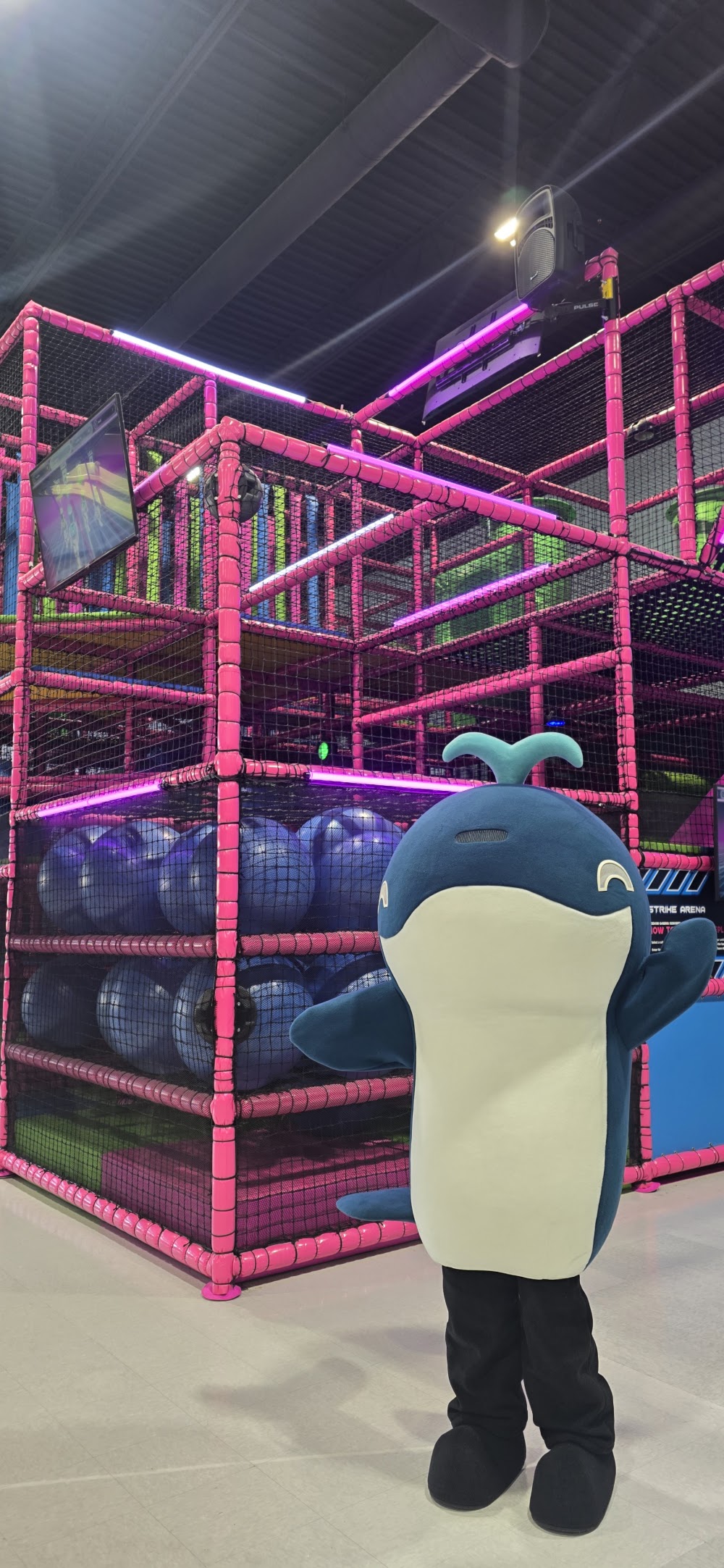 Vellix Adventure Park venue photo 2