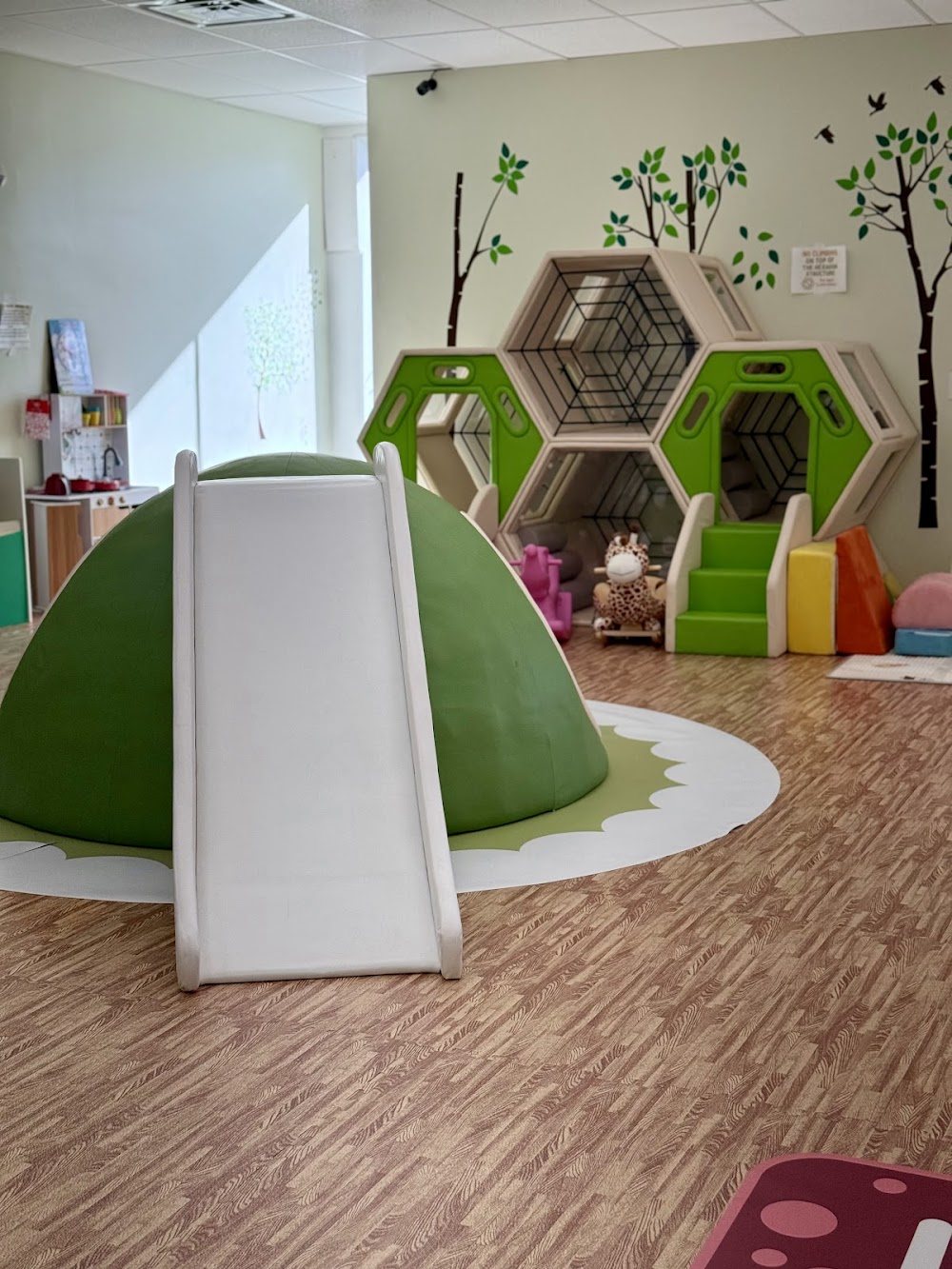 Adventure Nest venue photo 1