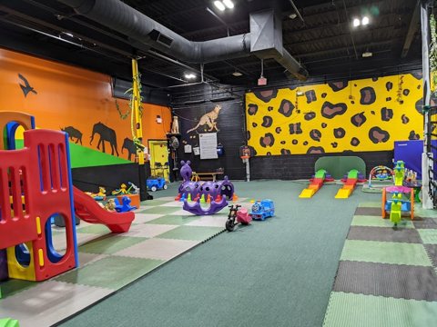 VinKari Safari: Children's Indoor Playground & Party Place